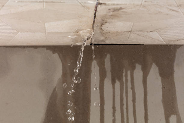 Professional Sewage Cleanup technician working in Apple Valley, UT